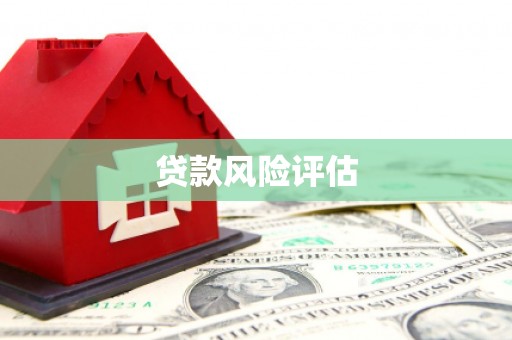 点军贷款风险评估