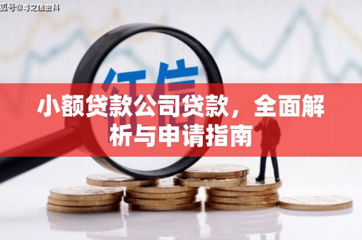 点军小额贷款公司贷款，全面解析与申请指南