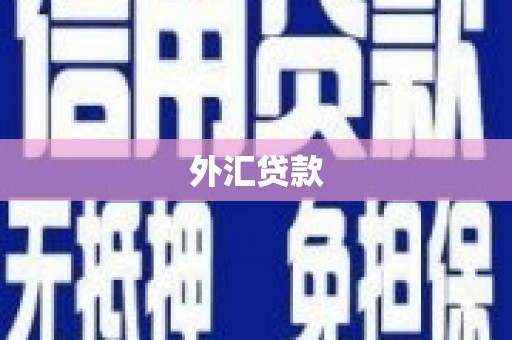 点军外汇贷款