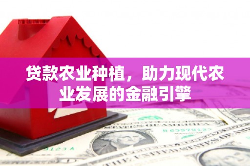 点军贷款农业种植，助力现代农业发展的金融引擎
