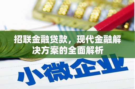 点军招联金融贷款，现代金融解决方案的全面解析
