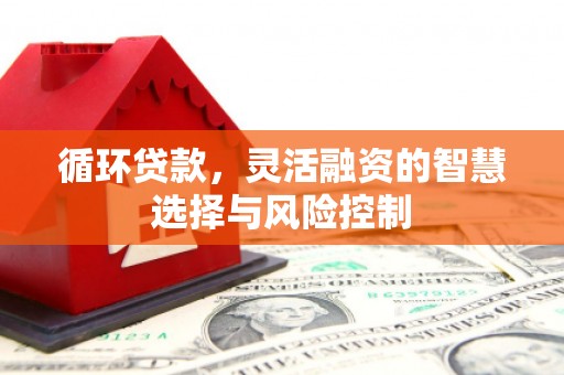 点军循环贷款，灵活融资的智慧选择与风险控制