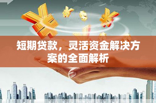 点军短期贷款，灵活资金解决方案的全面解析