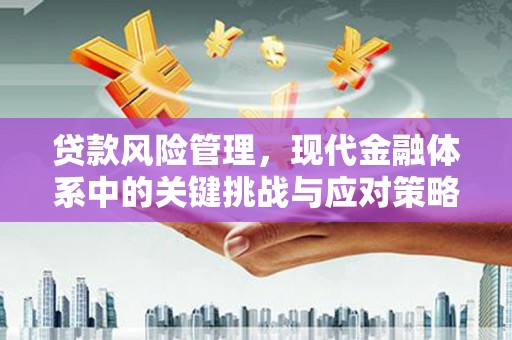 点军贷款风险管理，现代金融体系中的关键挑战与应对策略