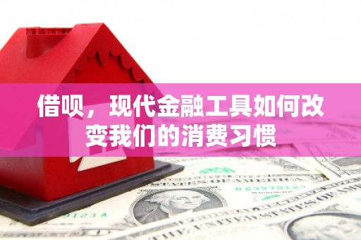 点军借呗，现代金融工具如何改变我们的消费习惯