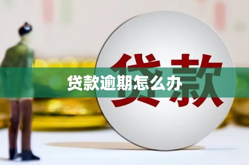点军贷款逾期怎么办