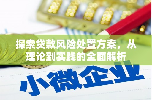 点军探索贷款风险处置方案，从理论到实践的全面解析