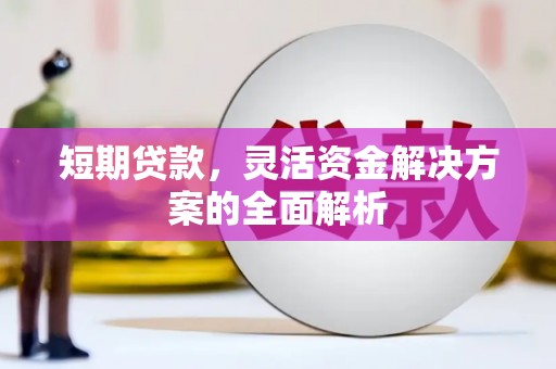 点军短期贷款，灵活资金解决方案的全面解析