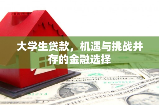点军大学生贷款，机遇与挑战并存的金融选择