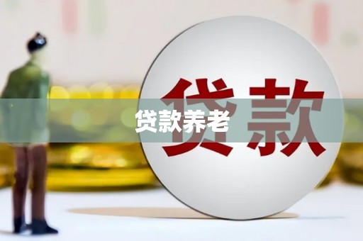 点军贷款养老