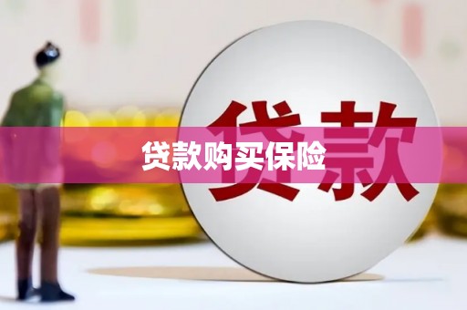 点军贷款购买保险