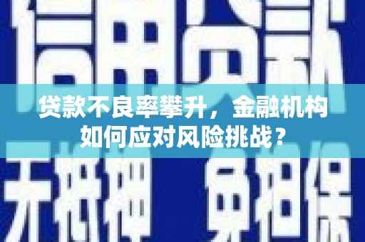 点军贷款不良率攀升，金融机构如何应对风险挑战？